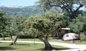 Asseiceira Camping