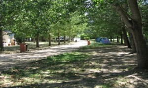 Serpins Camping Park