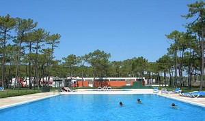 Gala