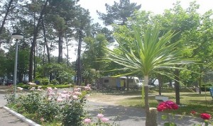 Parque de campismo Municipal de Arganil