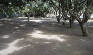 Parque de Campismo do Carapacho