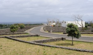 Parque de Campismo dos Biscoitos